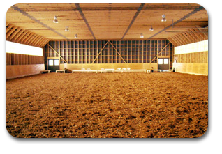 Indoor Arena