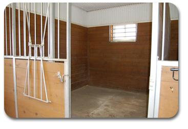 Main Barn Stall