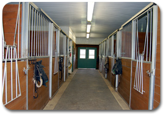 Stalls in Additional Stable